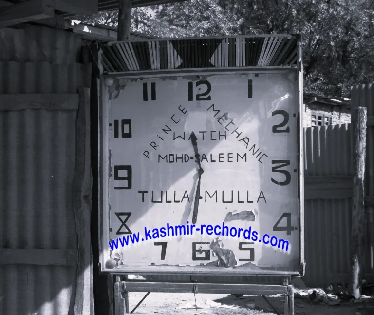 Echoes of Devotion: The First Kheer Bhawani Mela in Exile!