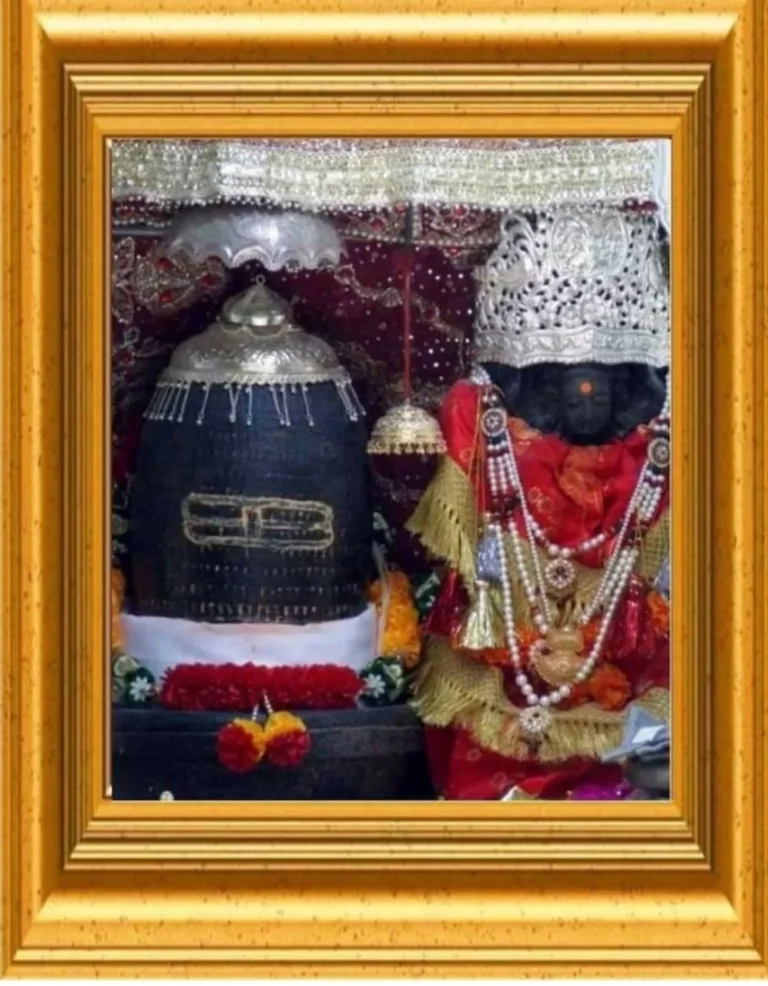 Kheer Bhawani Mela: 35 Yrs in Exile, Countless Yrs of Faith
